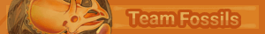 Team Fossils 3